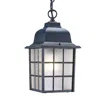 Homezia Matte Black Window Pane Lantern Hanging Light