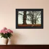Homezia Misty Trees Black Framed Print Wall Art