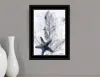 Homezia Ocean Collection 4 Black Framed Print Wall Art
