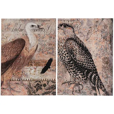 Homezia Set Of 2 Antique Post Card Birds Wall Art In Multi