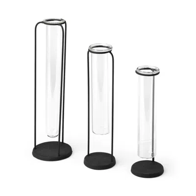 Homezia Set Of Three Test Tube Stand Vases