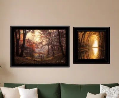 Homezia Set Of Two Natures Reflections 2 Black Framed Print Wall Art In Multi