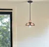Homezia Shiny Copper Shallow Plate Adjustable Pendant Light