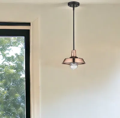 Homezia Shiny Copper Shallow Plate Adjustable Pendant Light In Black