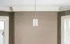Homezia Silver Frosted Glass Hanging Light