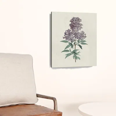 Homezia Singular Purple Blossom Branch Unframed Print Wall Art