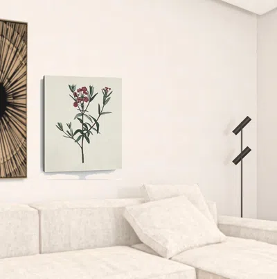 Homezia Singular Red Blossom Branch Unframed Print Wall Art In White