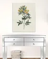 Homezia Singular Yellow Blossom Branch Unframed Print Wall Art