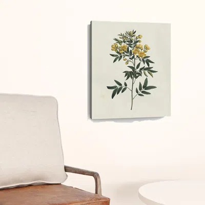 Homezia Singular Yellow Blossom Branch Unframed Print Wall Art