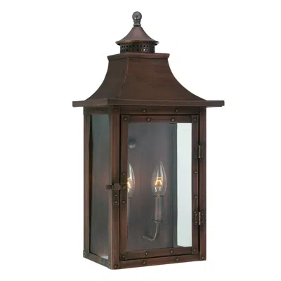 Homezia St. Charles 2-light Acopper Patina Wall Light In Animal Print