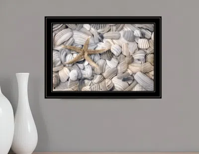 Homezia Starfish And Seashells 4 Black Framed Print Wall Art