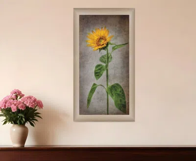 Homezia Sunflower Ii Brown Framed Print Wall Art