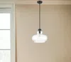 Homezia Torrel 1-light Matte Black Pendant