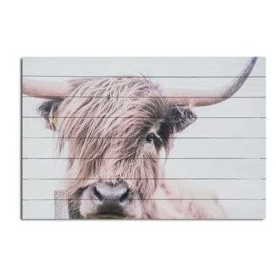 HOMEZIA UNFRAMED PHOTOGRAPH WALL ART