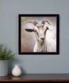 Homezia Up Close Goat Black Framed Print Wall Art