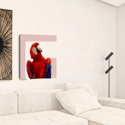Homezia Vibrant And Vivid Bird Unframed Print Wall Art