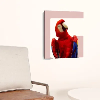 Homezia Vibrant And Vivid Bird Unframed Print Wall Art
