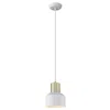 Homezia White And Gold Pendant Hanging Light