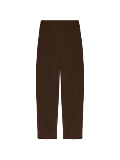 Homme Plisse Issey Miyake Tuxedo Pleated Trousers In Brown