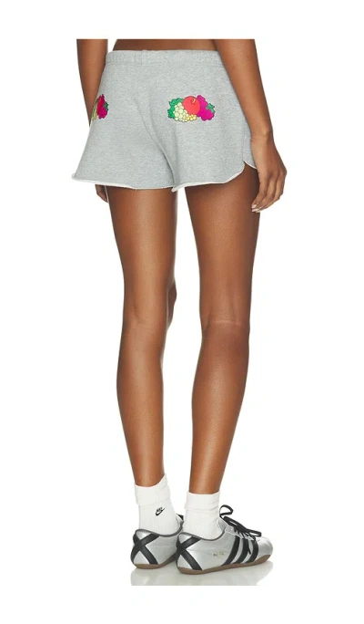 Hommegirls X Fruit Of The Loom Fruity Shorts In Gray
