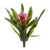 Homplanti 10" Bromeliad Bush (set Of 6)