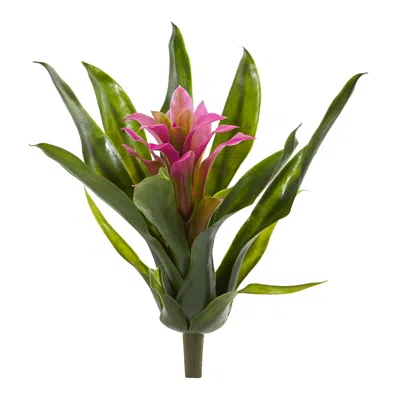 Homplanti 10" Bromeliad Bush (set Of 6)