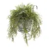 Homplanti 10" Tillandsia Moss Plant In Vintage Hanging Metal Pail
