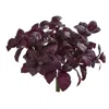 Homplanti 11" Basil Artificial Plant (set Of 6)