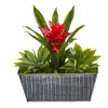 Homplanti 11" Bromeliad And Agave Plant In Black Tin Planter