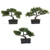 Homplanti 12" Bonsai Silk Plant Collection (set Of 3)