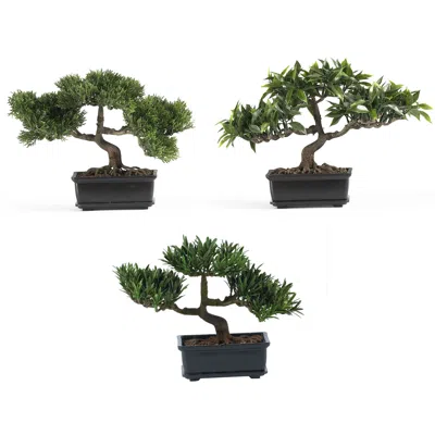 Homplanti 12" Bonsai Silk Plant Collection (set Of 3)