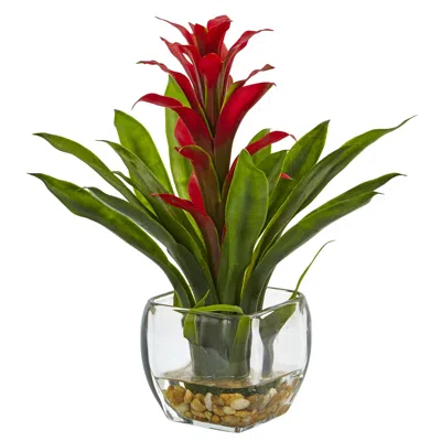 Homplanti 12" Bromeliad With Vase Arrangement Red In Multi