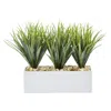 Homplanti 12" Vanilla Grass In Rectangular Planter