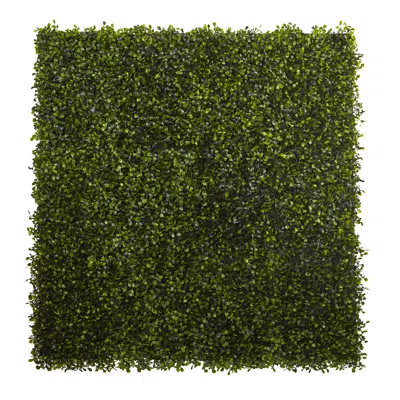 Homplanti 12" X 10" Boxwood Mat (set Of 12)