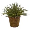 Homplanti 13" Aloe Artificial Plant In Basket