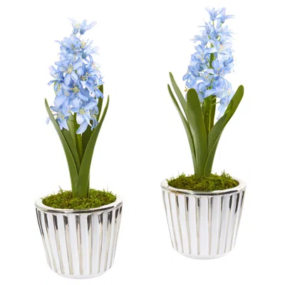 Homplanti 13" Hyacinth Arrangement In White Vase (set Of 2)