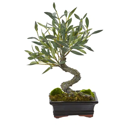 Homplanti 13" Mini Olive Artificial Bonsai Tree