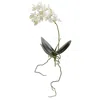 Homplanti 13" Mini Orchid Phalaenopsis Artificial Flower (set Of 6)