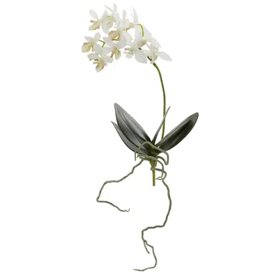 Homplanti 13" Mini Orchid Phalaenopsis Artificial Flower (set Of 6) In Green