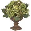 Homplanti 14" Artichoke Centerpiece
