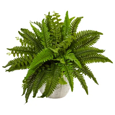 Homplanti 14" Boston Fern In White Planter
