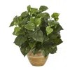 Homplanti 14" Pothos Artificial Plant In Ceramic Planter