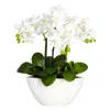 Homplanti 15 Phalaenopsis W/white Vase