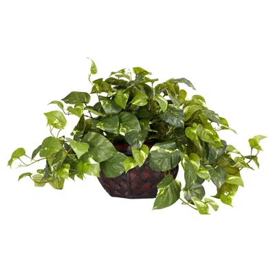 Homplanti 15" Pothos W/decorative Planter