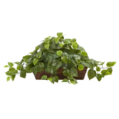 Homplanti 15" Pothos W/ledge Basket In Green