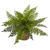 Homplanti 15" Ruffle Fern Bush W/burlap Base (set Of 2)