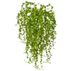 Homplanti 15" Senecio Succulent (set Of 3)