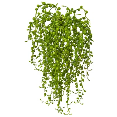 Homplanti 15" Senecio Succulent (set Of 3) In Green