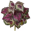 Homplanti 16" Wax Begonia Bush (set Of 6)