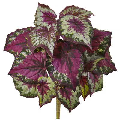 Homplanti 16" Wax Begonia Bush (set Of 6) In Brown